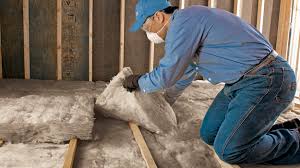 Types of Insulation We Offer in South Riding, VA